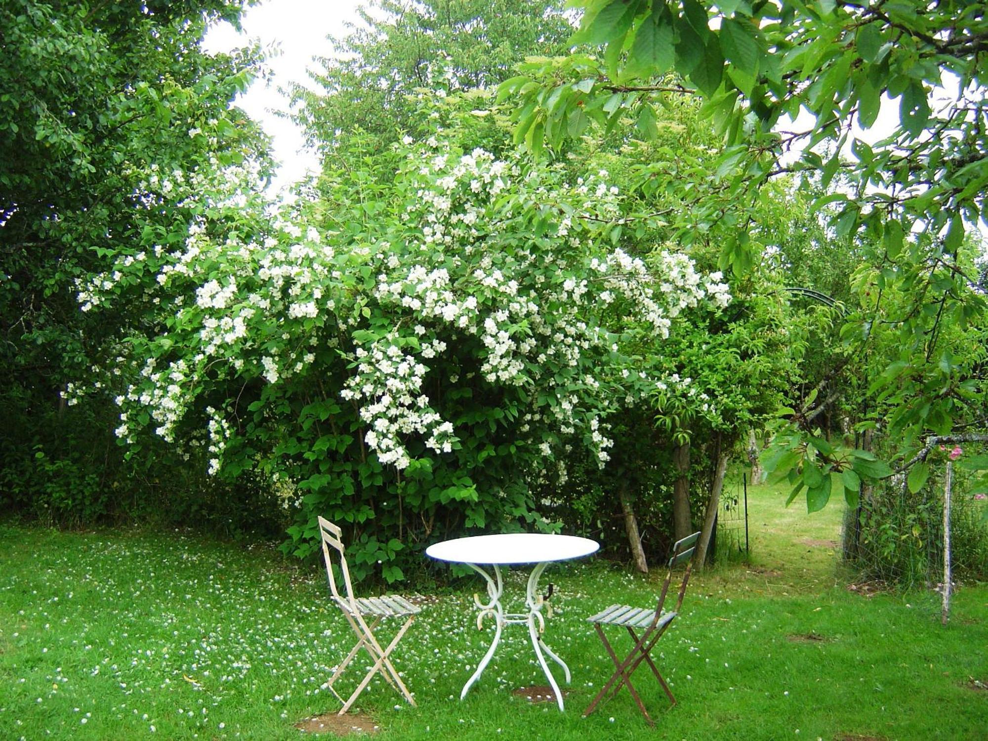 Les Trois Chenes Bed and Breakfast Videix Exteriör bild